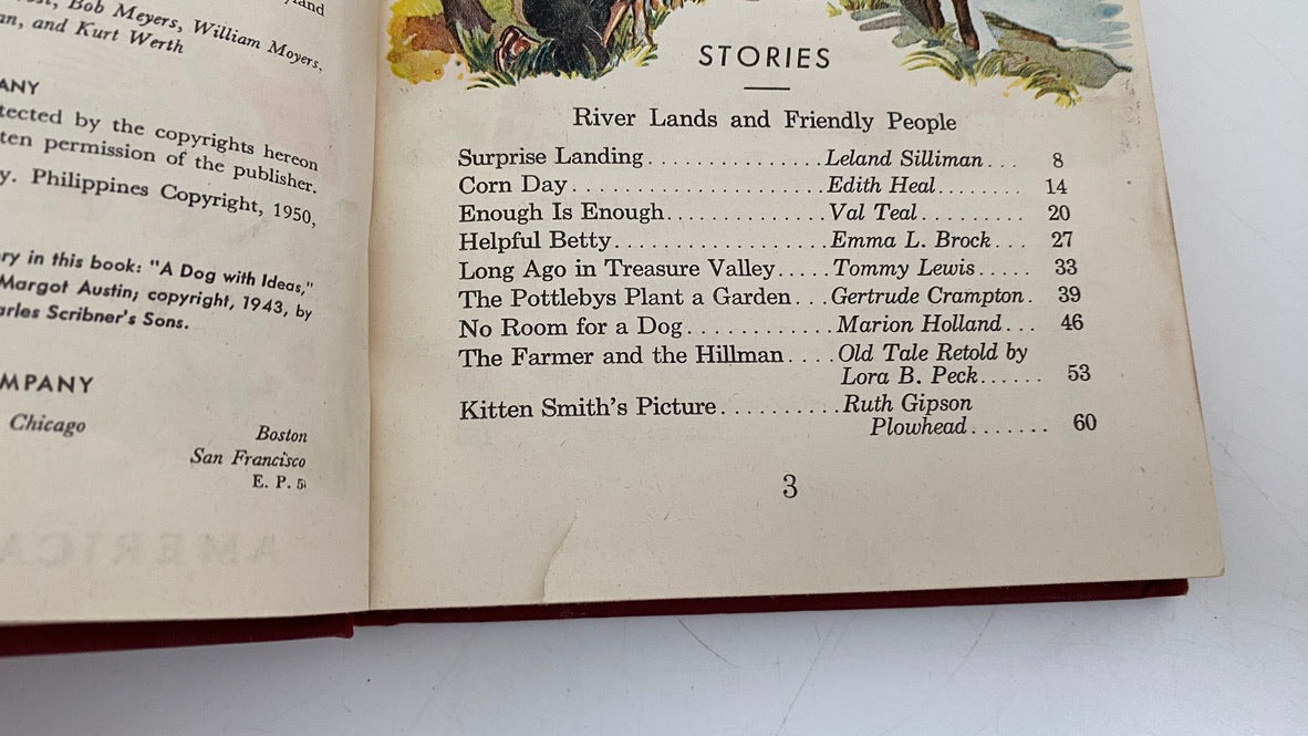 Vintage Children's Book, Beyond Treasure Valley at Duckwells
