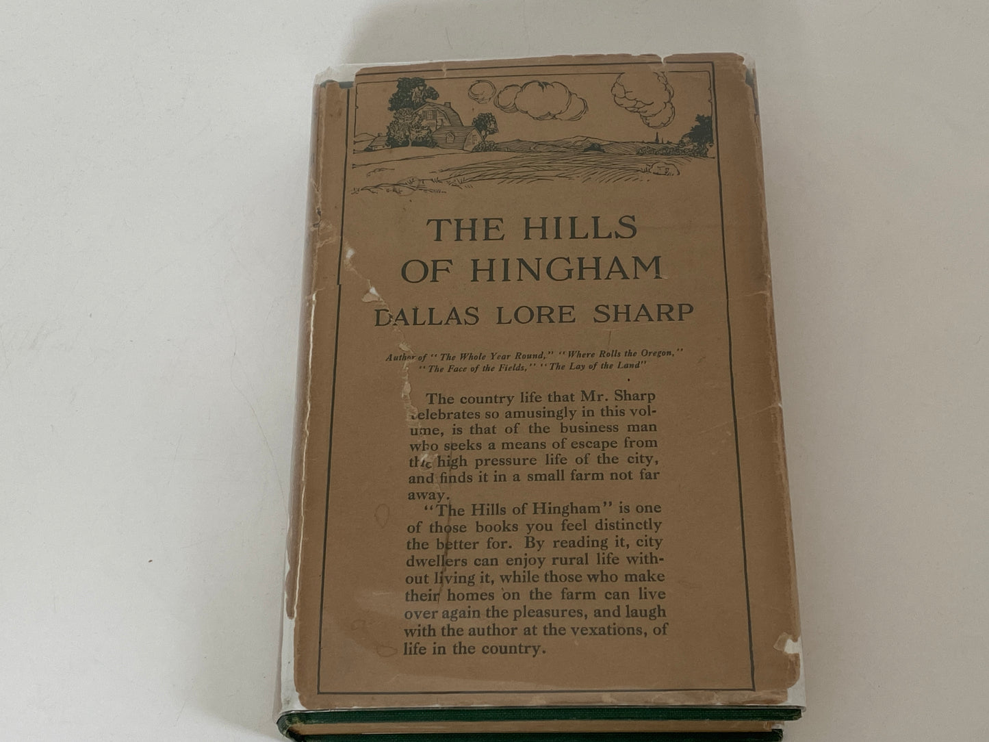 Antique First Edition Book "The Hills of Hingham" by Dallas Lore Sharp at Duckwells