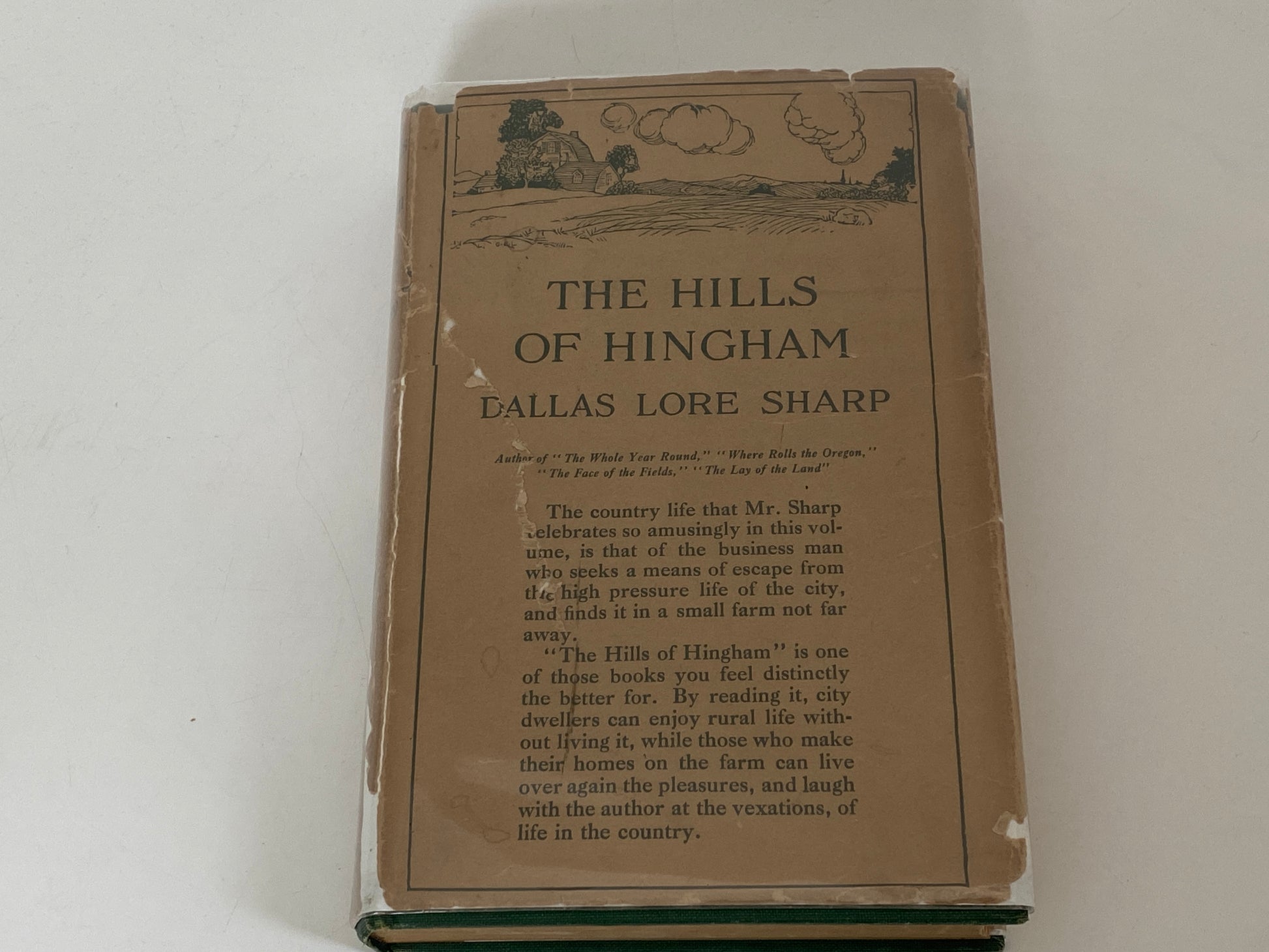 Antique First Edition Book "The Hills of Hingham" by Dallas Lore Sharp at Duckwells
