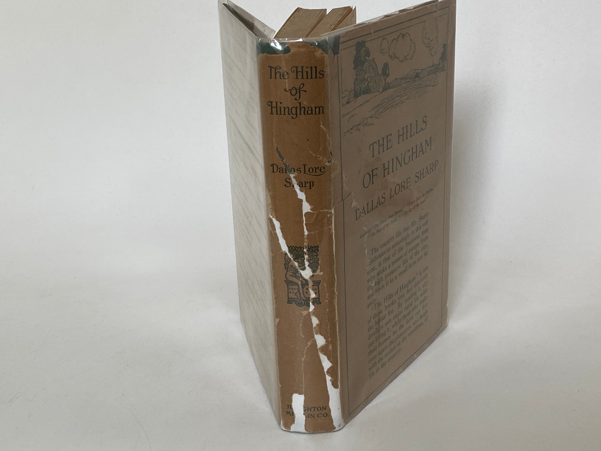 Antique First Edition Book "The Hills of Hingham" by Dallas Lore Sharp at Duckwells