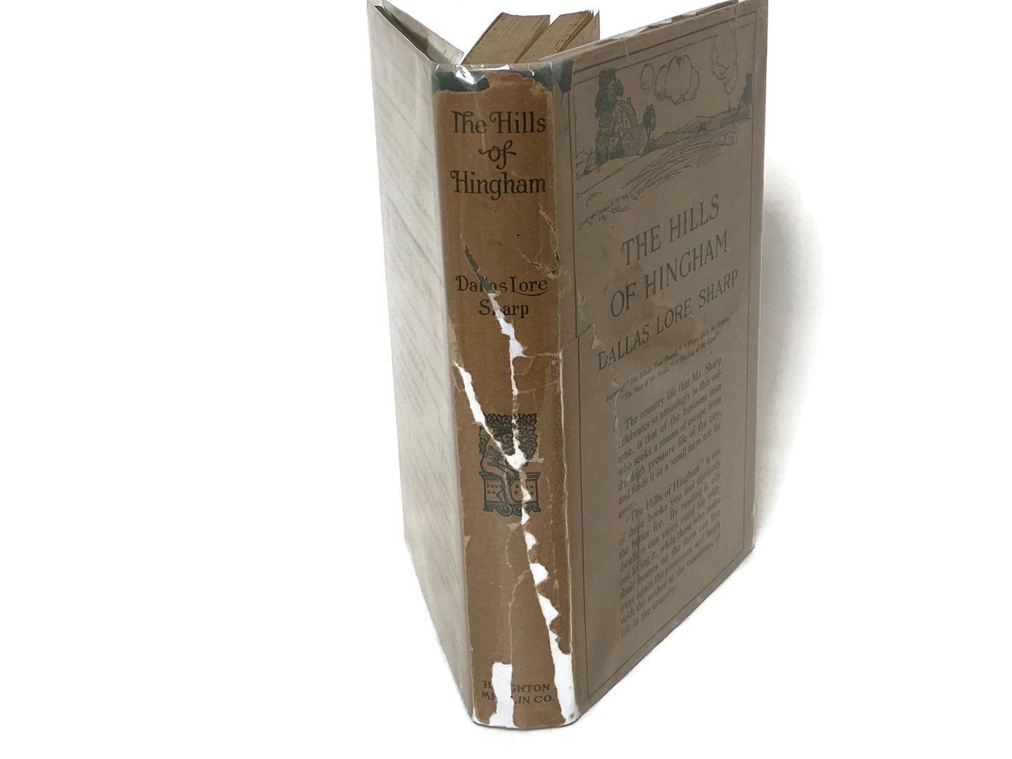 Antique First Edition Book "The Hills of Hingham" by Dallas Lore Sharp at Duckwells