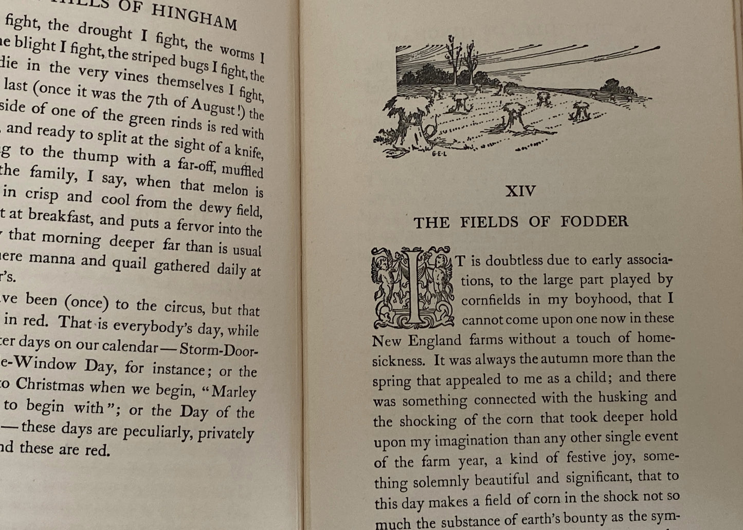 Antique First Edition Book "The Hills of Hingham" by Dallas Lore Sharp at Duckwells