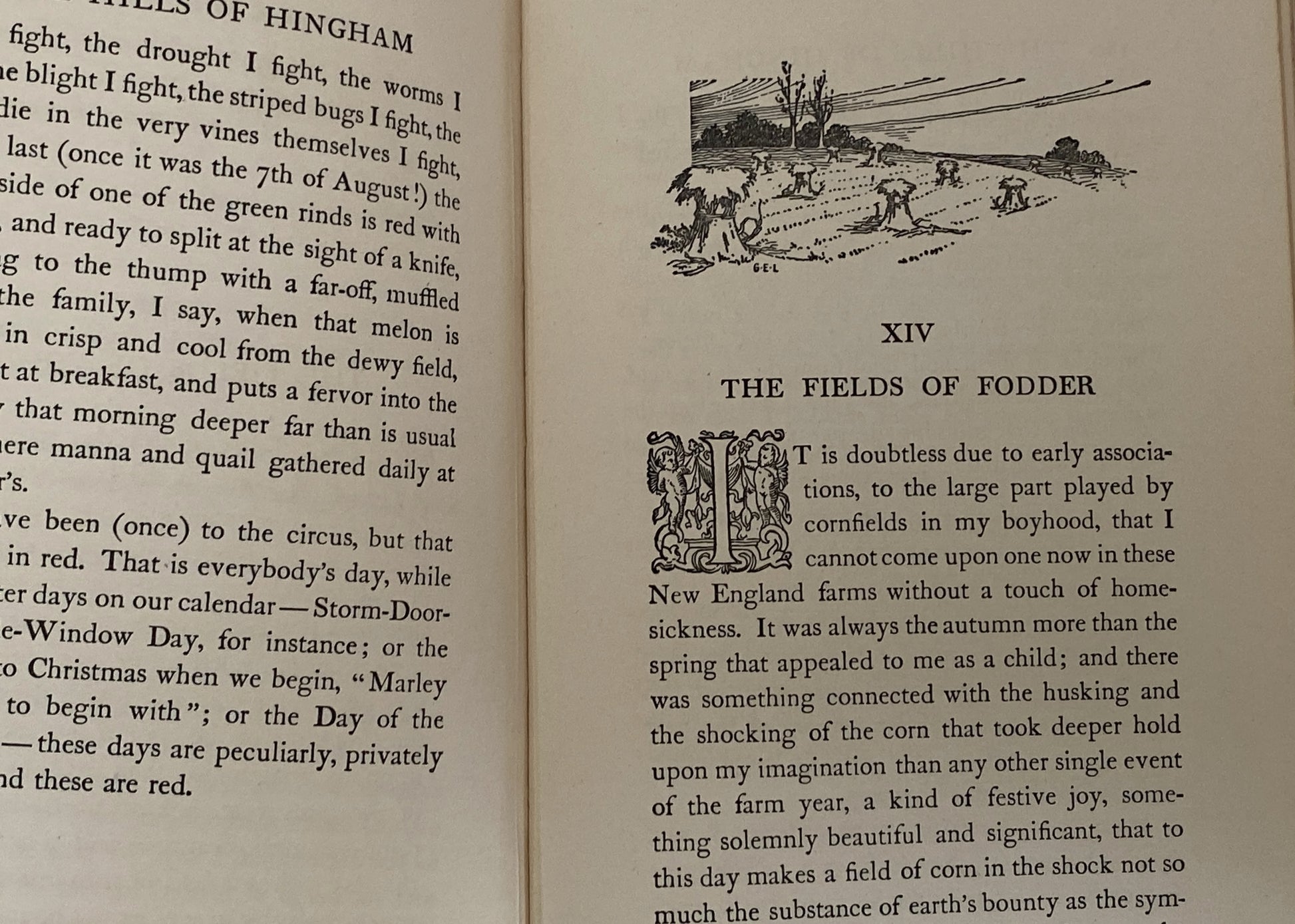 Antique First Edition Book "The Hills of Hingham" by Dallas Lore Sharp at Duckwells
