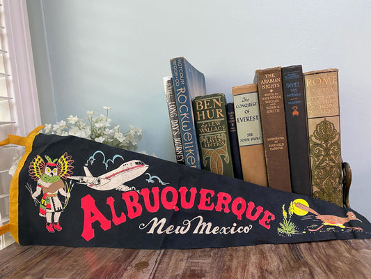 Vintage Albuquerque New Mexico Felt Souvenir Pennant at Duckwells