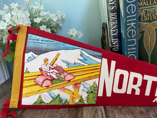 Vintage North Conway New Hampshire Pennant at Duckwells