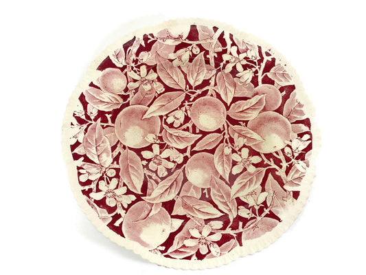 Vintage Royal Cauldon Madeira Pattern Plate at Duckwells