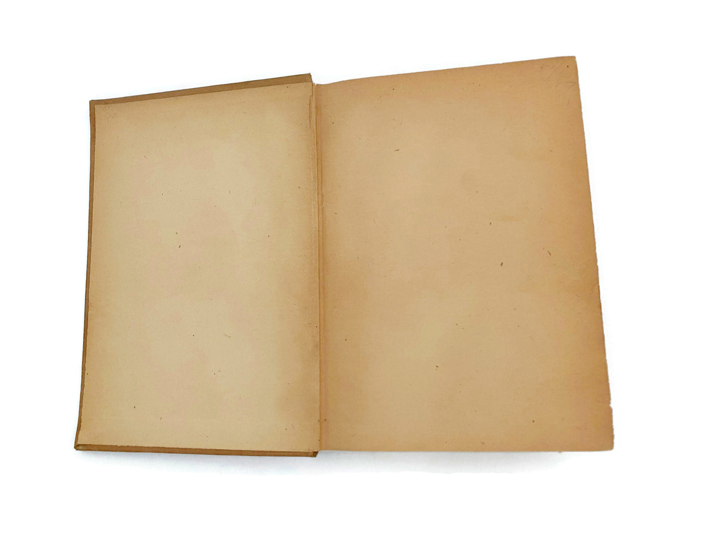 Antique Book by Oliver Wendell Holmes, Autocrat of the Breakfast Table