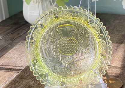 Vintage Pairpoint Glass Cup Plate Thistle #26 in Yellow at Duckwells
