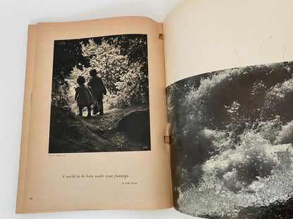 Midcentury Softcover Book, The Family of Man, 1955 at Duckwells