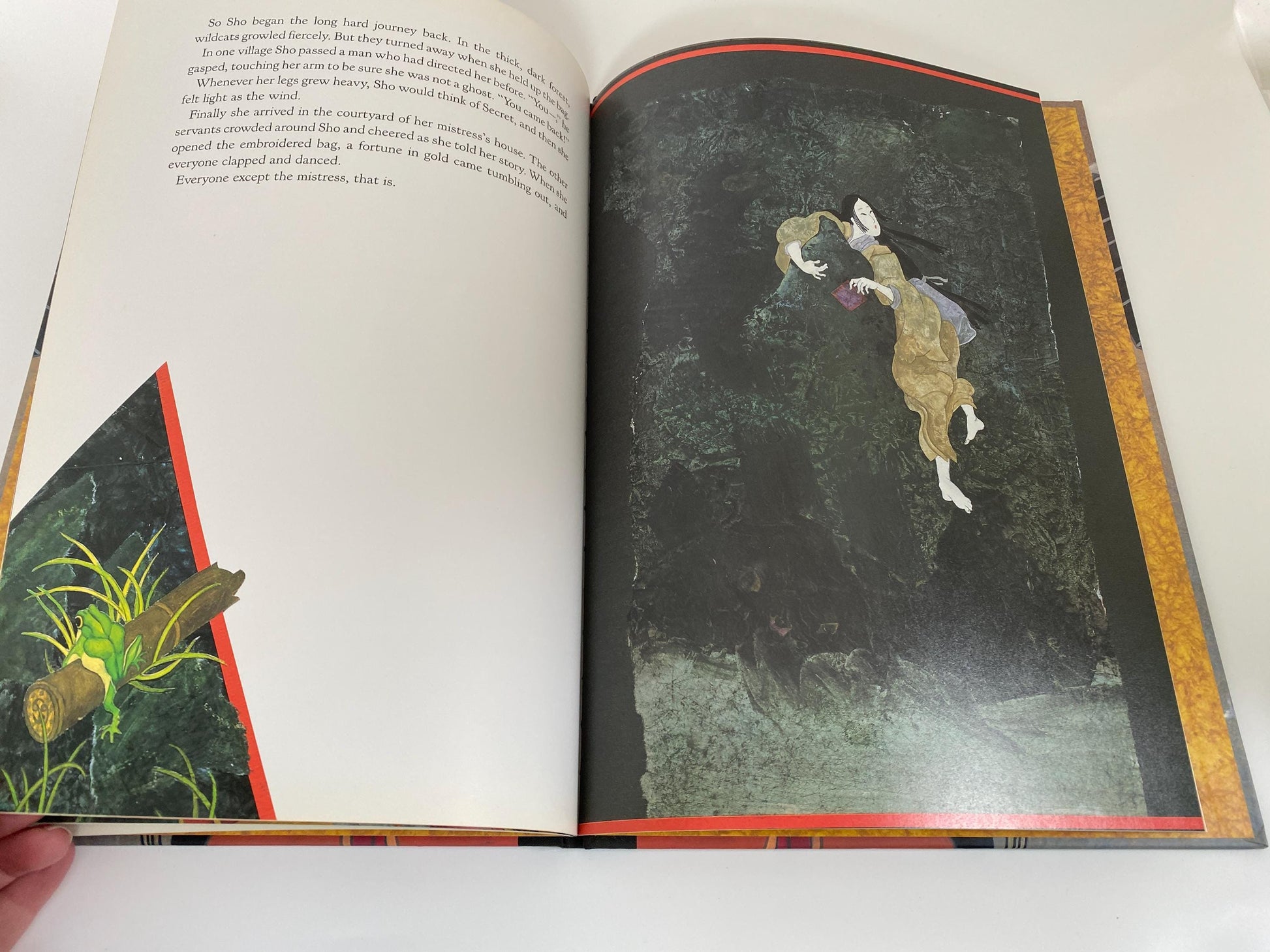Vintage Book, On Cat Mountain - Duckwells