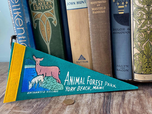 Vintage York Beach Maine Pennant - Animal Forest Park