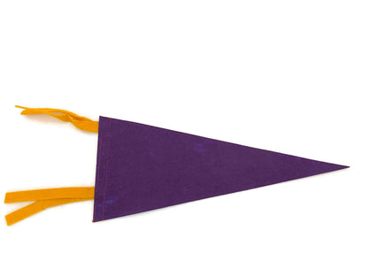 Vintage Pennsylvania Dutch Country Souvenir Felt Pennant at Duckwells