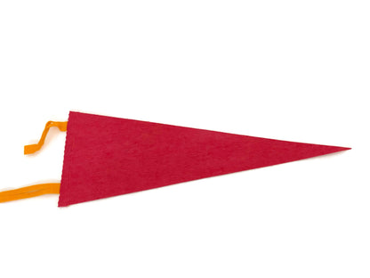 Vintage Pocono Mountains Pennant - Midcentury Pennsylvania Felt Travel Souvenir at Duckwells