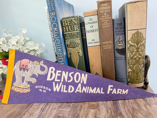 Vintage Benson Wild Animal Farm,  New Hampshire Pennant