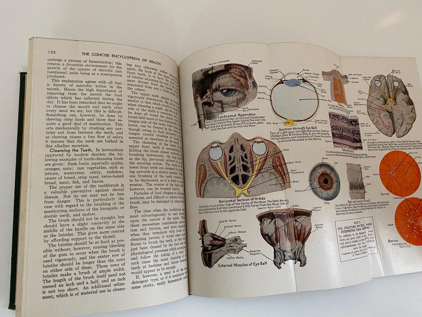 Vintage Medical Book, The New People's Physician Vol.1-Illustrated at Duckwells