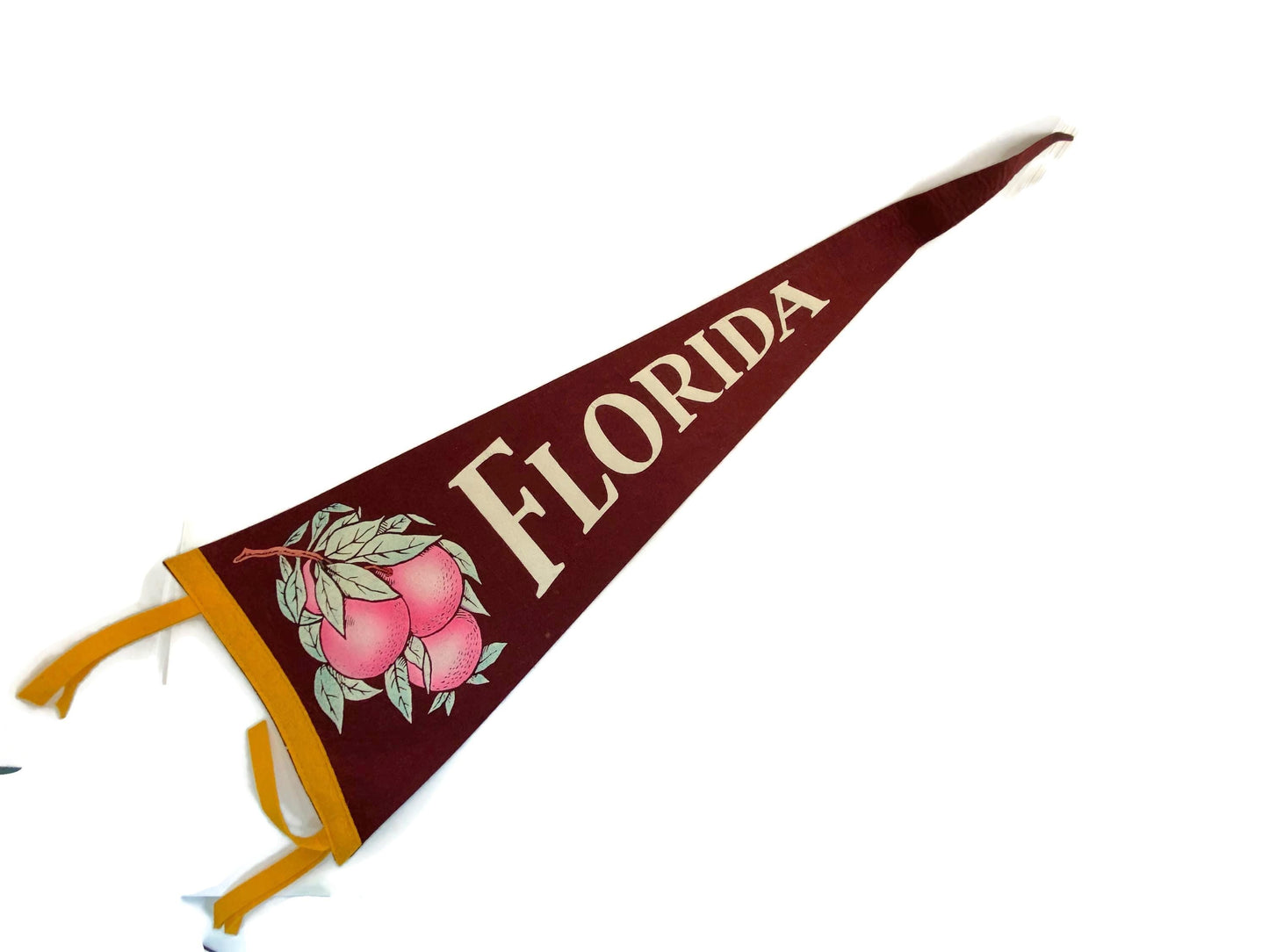 Midcentury Florida Souvenir Pennant at Duckwells