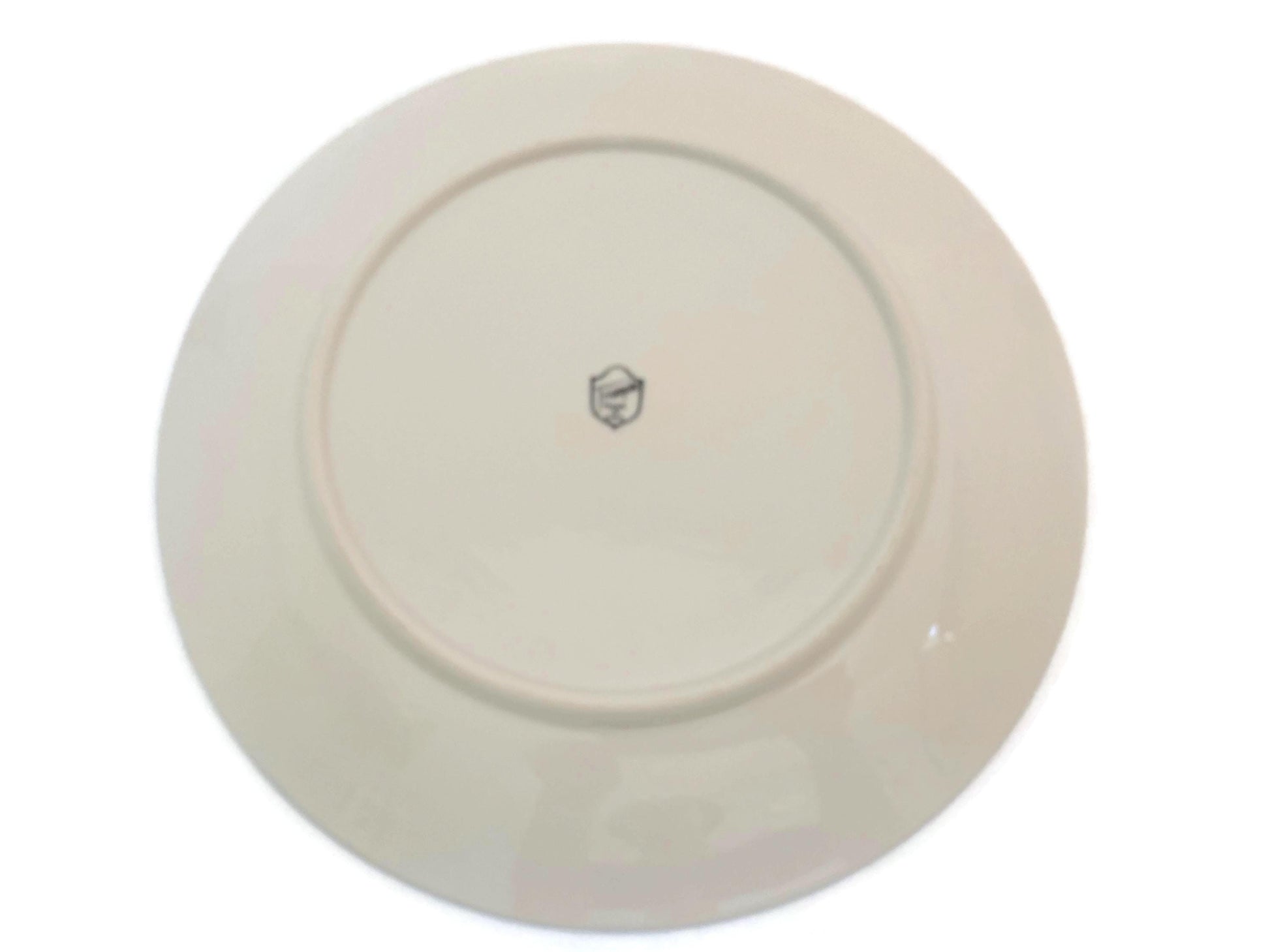 Vintage Texas State Souvenir Plate at Duckwells