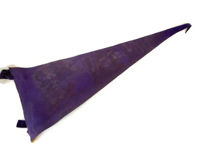 Vintage Ice Follies Souvenir Pennant at Duckwells