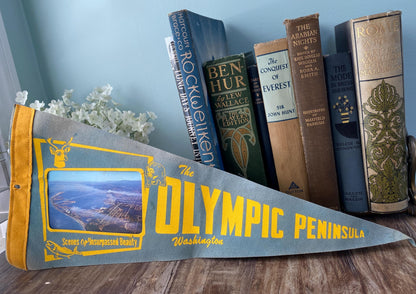 Vintage Washington Souvenir Pennant at Duckwells