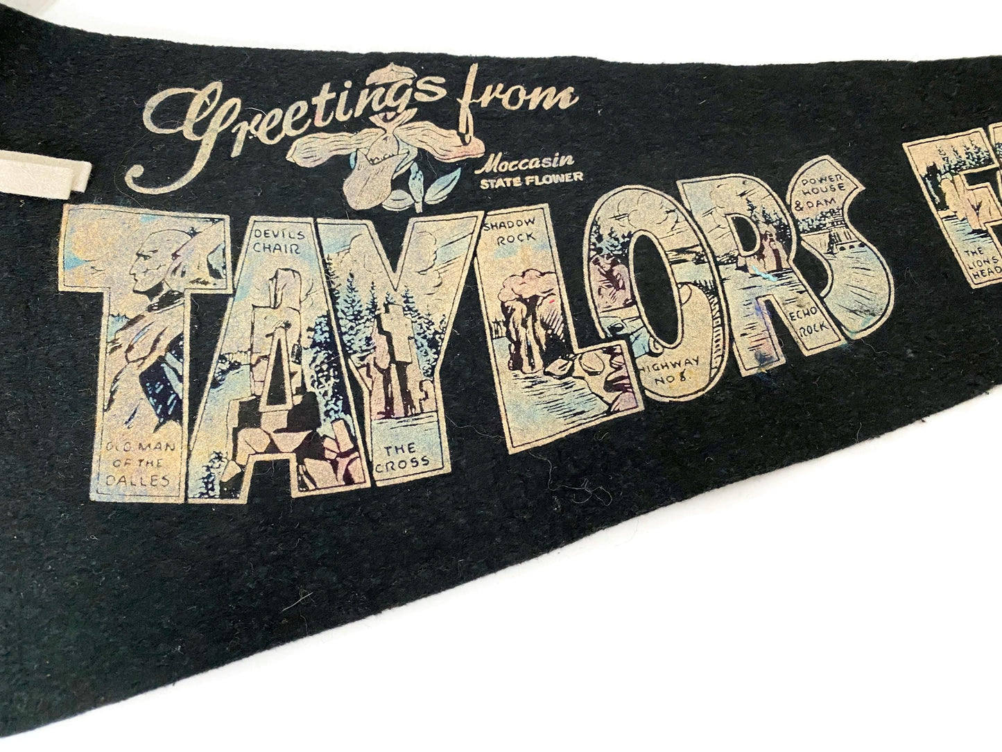 Vintage Taylors Falls Minnesota Pennant at Duckwells