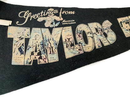 Vintage Taylors Falls Minnesota Pennant at Duckwells