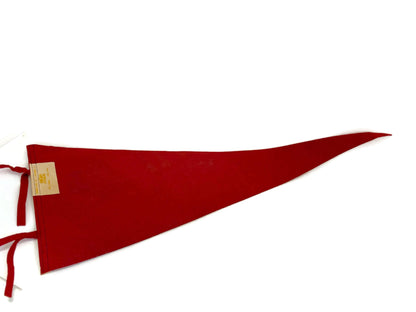 Vintage Ocean Park Maine Pennant at Duckwells
