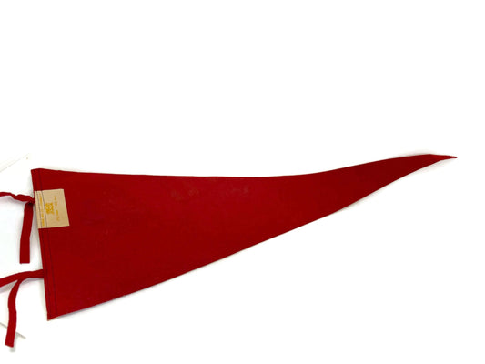 Vintage Ocean Park Maine Pennant at Duckwells