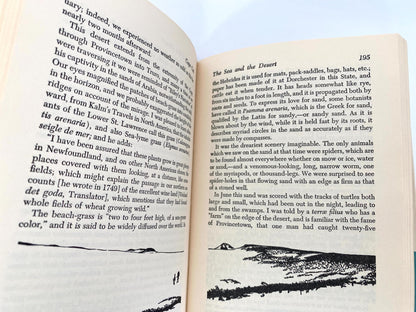 Vintage Book, Cape Cod by Henry David Thoreau at Duckwells