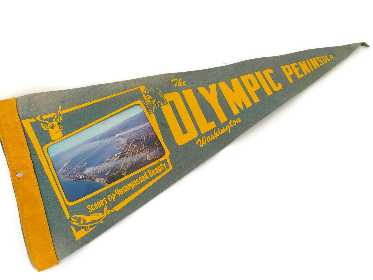 Vintage Washington Souvenir Pennant at Duckwells