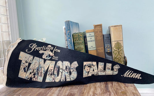 Vintage Taylors Falls Minnesota Pennant at Duckwells
