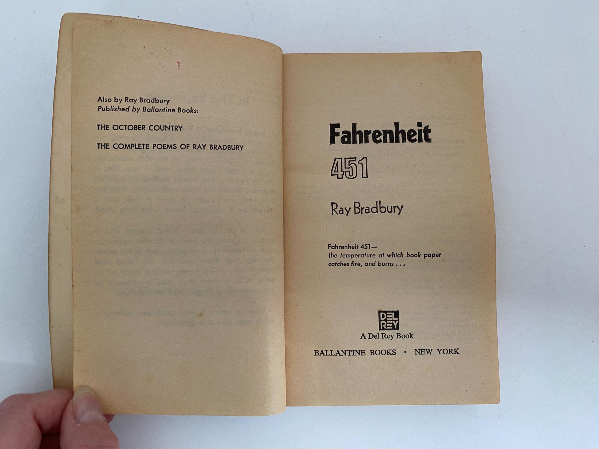 Vintage Softcover Book, Fahrenheit 451 by Ray Bradbury at Duckwells