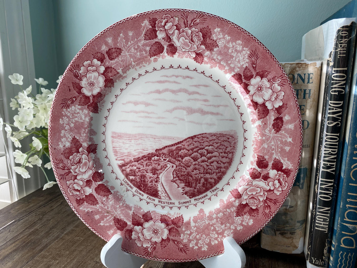 Vintage Mohawk Trail Souvenir Plate at Duckwells