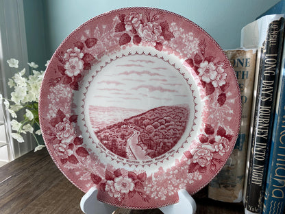 Vintage Mohawk Trail Souvenir Plate at Duckwells