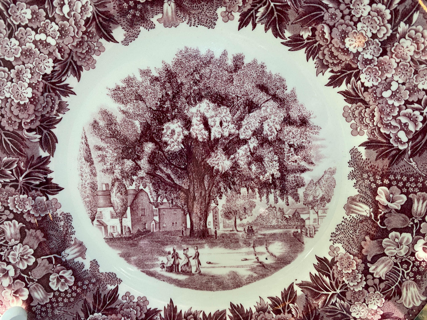 Vintage The Washington Elm Wedgwood Souvenir Plate, Cambridge Massachusetts at Duckwells