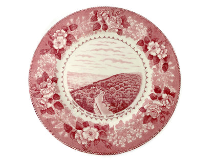 Vintage Mohawk Trail Souvenir Plate at Duckwells