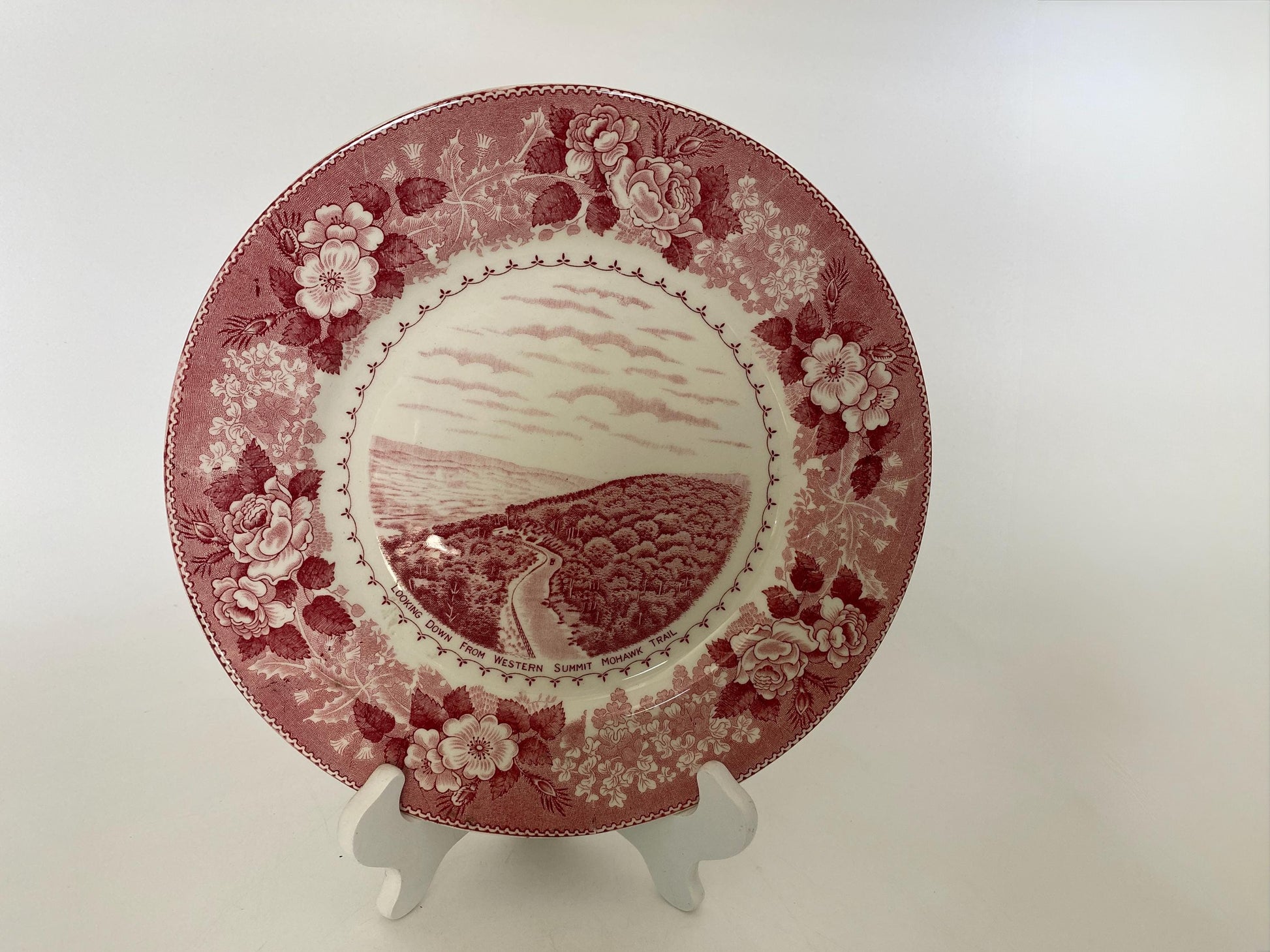 Vintage Mohawk Trail Souvenir Plate at Duckwells