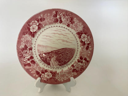 Vintage Mohawk Trail Souvenir Plate at Duckwells