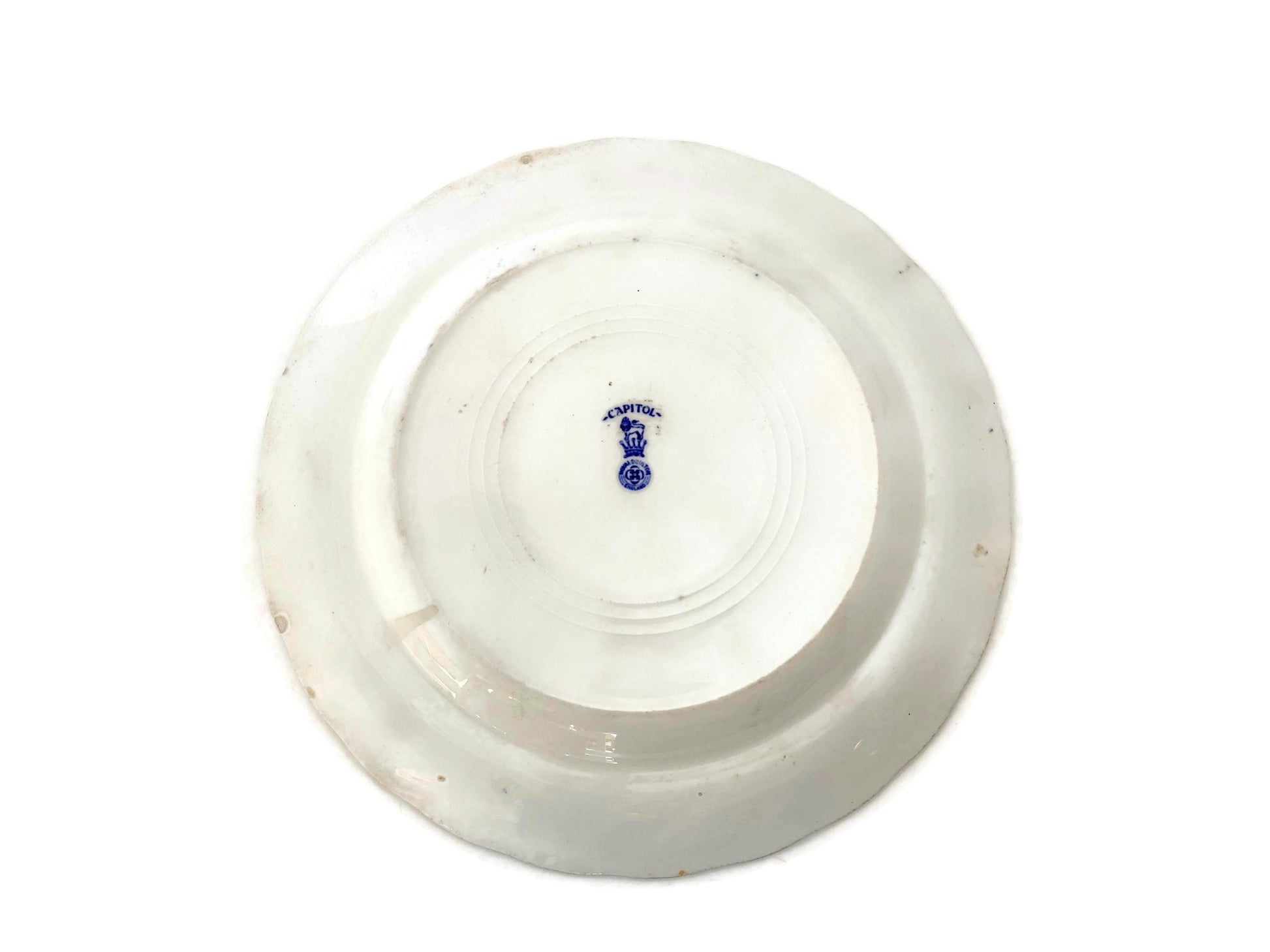 Antique US Capitol Plate by Royal Doulton at Duckwells