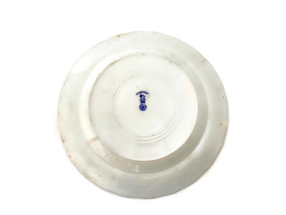 Antique US Capitol Plate by Royal Doulton at Duckwells