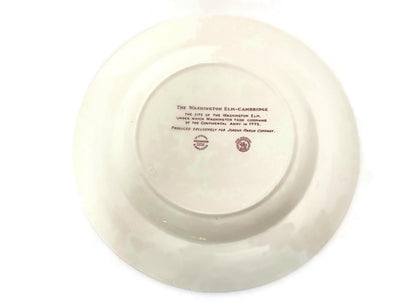 Vintage The Washington Elm Wedgwood Souvenir Plate, Cambridge Massachusetts at Duckwells
