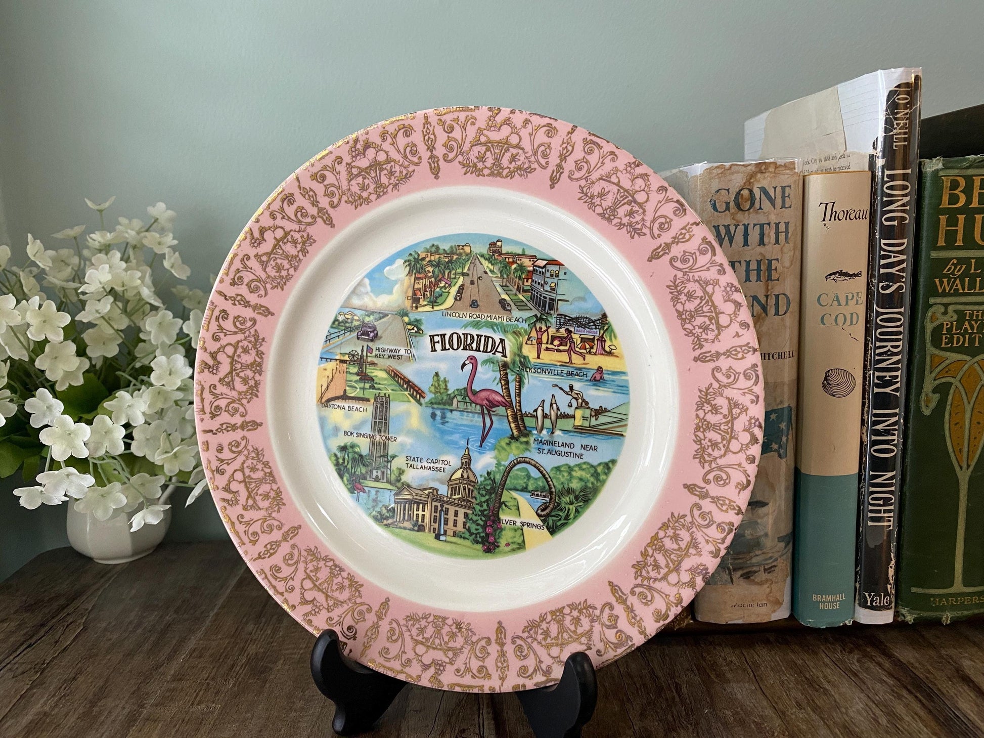 Midcentury Pink Florida Souvenir Plate at Duckwells