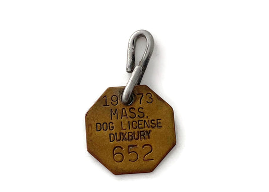 Vintage Brass Massachusetts Dog License at Duckwells