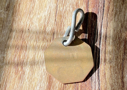 Vintage Brass Massachusetts Dog License at Duckwells