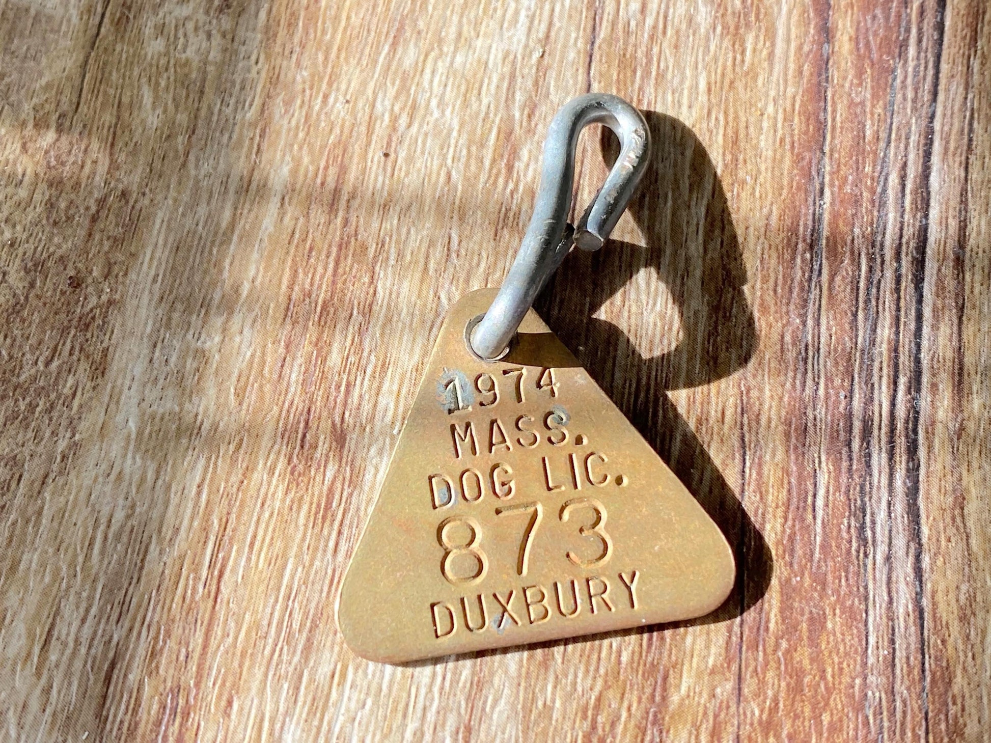 Vintage Duxbury Brass Dog License at Duckwells