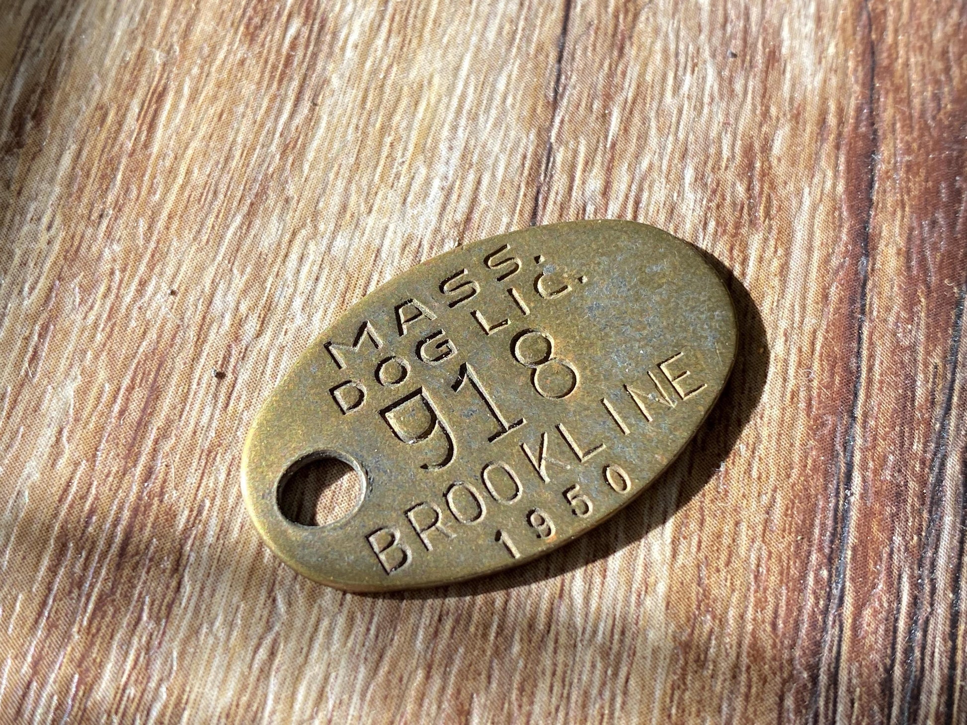 1950 Brookline Massachusetts Brass Dog License Tag at Duckwells