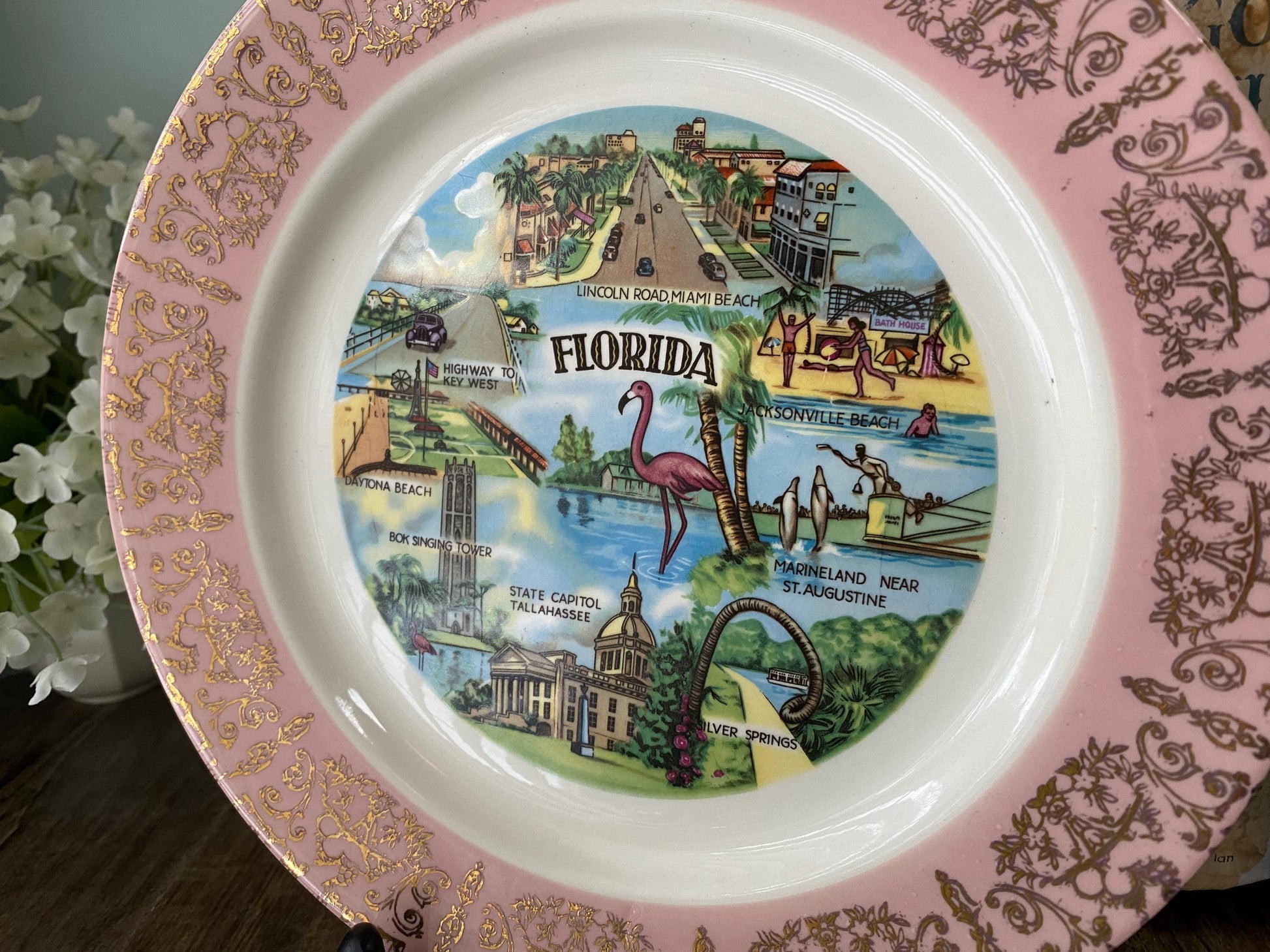 Midcentury Pink Florida Souvenir Plate at Duckwells