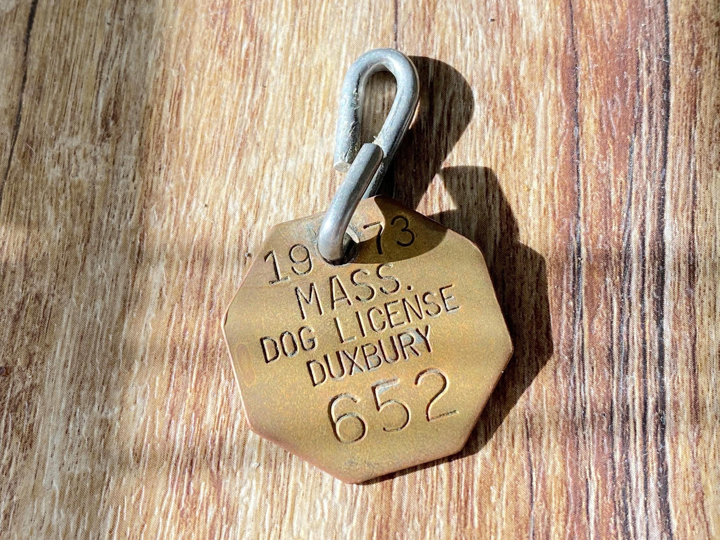 Vintage Brass Massachusetts Dog License at Duckwells