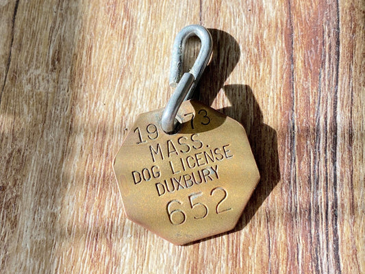 Vintage Brass Massachusetts Dog License at Duckwells