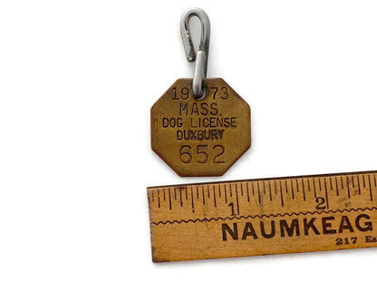 Vintage Brass Massachusetts Dog License at Duckwells