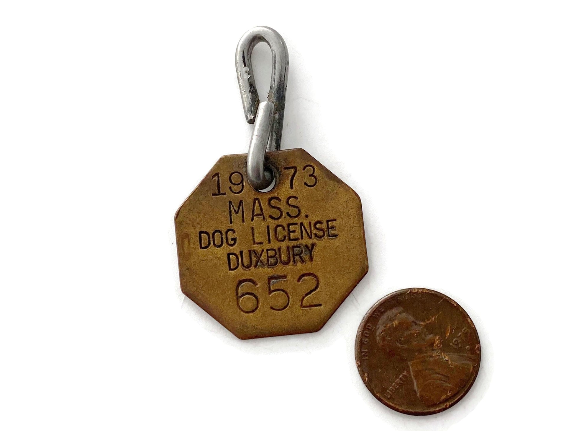 Vintage Brass Massachusetts Dog License at Duckwells